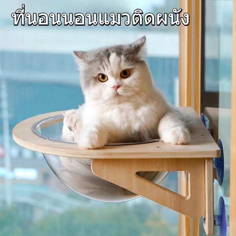 หลุมแมว ที่นอนนอนแมวติดผนัง พร้อมหลุมใสอะคริลิค หลุมอวกาศใส มินิมอล รับน้ำหนักได้ 30Kg