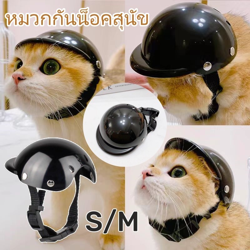 🐕COD หมวกกันน็อคสุนัข🥽 แมว หมา🧢สัตว์เลี้ยง ABS หมวกกันน็อค อุปกรณ์หมวก