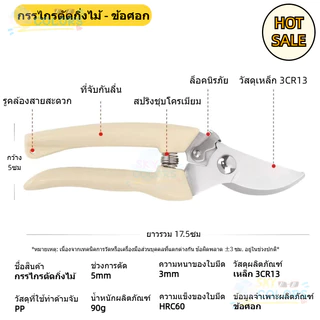 กรรไกรตัดกิ่งไม้ กรรไกรแต่งกิ่ง 6.5 นิ้ว ใบมีดสแตนเลส อย่างดี รหัส