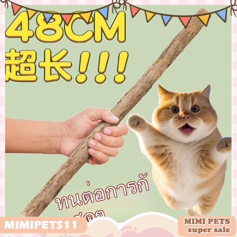48CM ยาวมาก ไม้มาทาทาบิ ขัดฟันแมว Matatabi แคทนิปญี่ปุ่น ลดคราบหินปูน ไม้แมวเมา ของเล่นแมว
