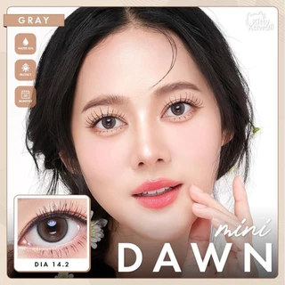 🔥คอนแทคเลนส์ 💗ขนาดมินิ💗 Mini Dawn (kittykawaii) สี : Brown / Gray / Light Brown