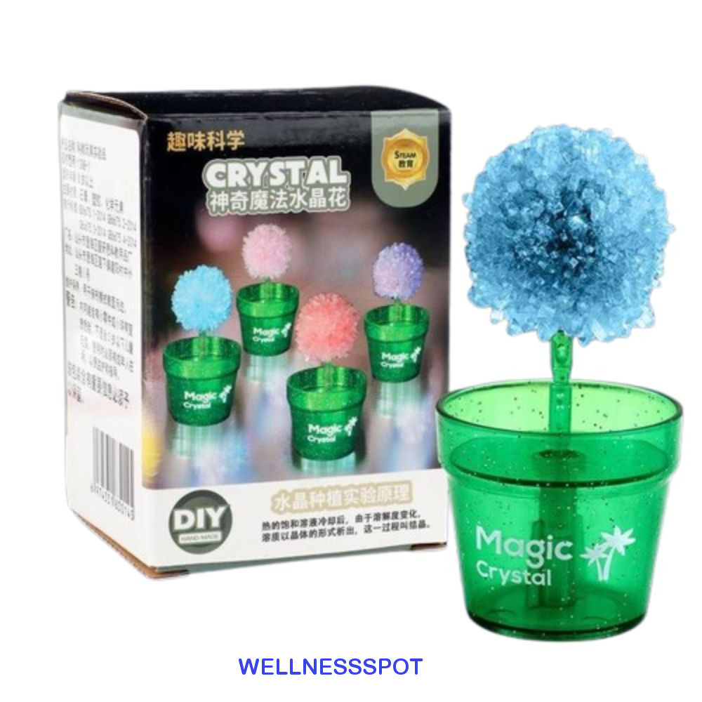 Wellnessspot ชุดปลูกต้นไม้คริสตัลสีรูปดอกไม้การทดลองวิทยาศาสตร์ของเล่นแม่พิมพ์รูปร่างกวน Sticks ง่ายต่อการเติบโตชุดทําคริสตัลของขวัญวิทยาศาสตร์