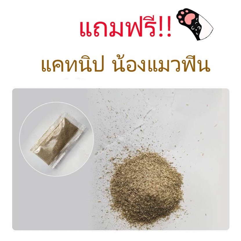 อ่างลับเล็บแมวทรงวงรี S / M / L / XL ที่ฝนเล็บแมว ที่ลับเล็บแมว Cat scratcher คุณภาพดี ราคาดีที่สุด แถมฟรี! แคทนิป 1 ซอง - รูปที่ 2