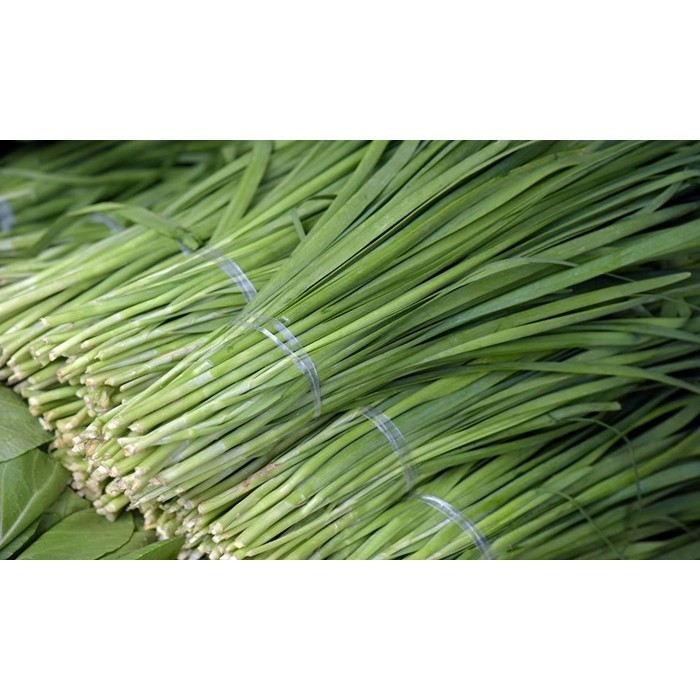 เมล็ดพันธุ์ กุยช่าย ผักแป้น Garlic Chives 220 เมล็ด มีคู่มือปลูก [ 10 เเถม 1 คละได้]