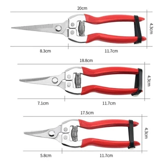 DAPHNE 1 ชิ้นสวนกรรไกร,มือ Pruner Florist กรรไกรเครื่องมือตัดแต่งกิ่งต้นไม้เฉือน,ตรงสวน Leaf Trimmer Micro-Tip ตัดแต่งกิ่ง Snips