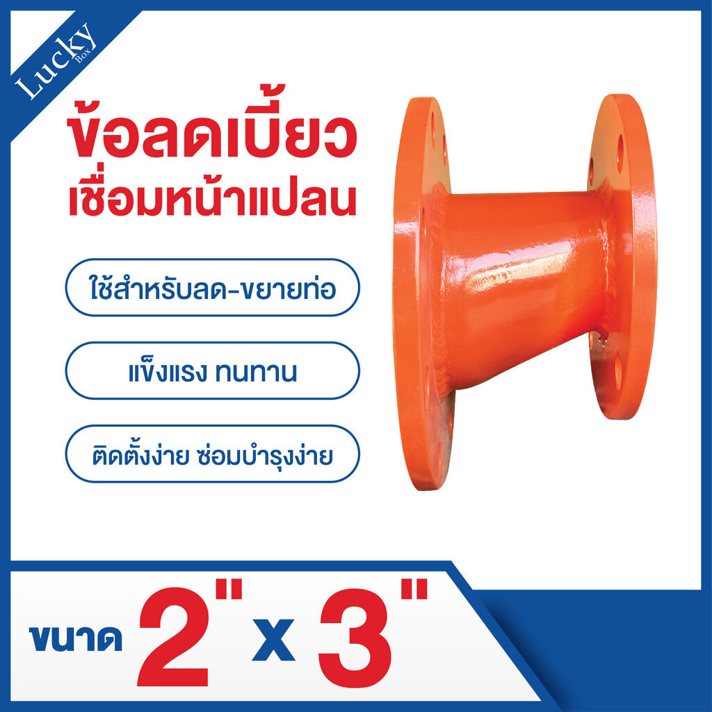 ข้อต่อเชื่อมชน ข้อลดเบี้ยวหน้าแปลน ขนาด 2x3 นิ้ว (Butt Weld Eccentric Reducer)