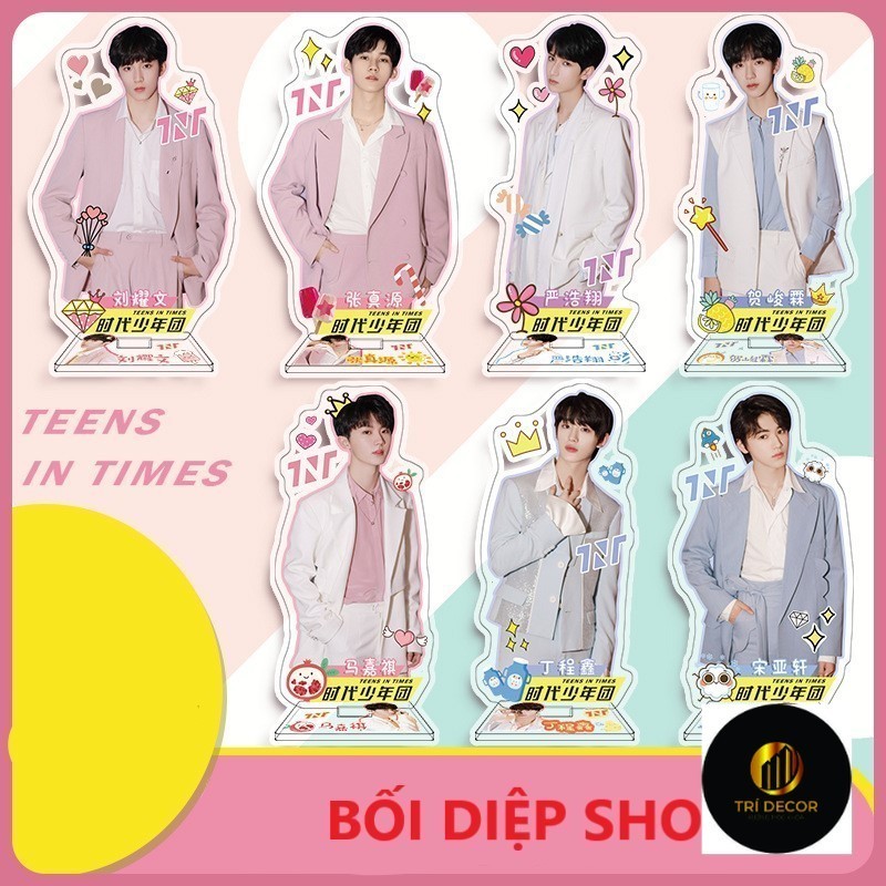 TNT Standee วัยรุ่นที่ออกแบบมาเป็นรายบุคคลใน Times Youth Union 8cm