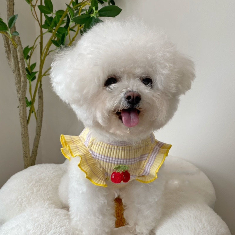 สุนัข อิน ฤดูใบไม้ผลิ/ฤดูร้อนใหม่แมวเสื้อผ้าลายยืดหยุ่นบินแขนเสื้อกล้ามผ้าฝ้าย