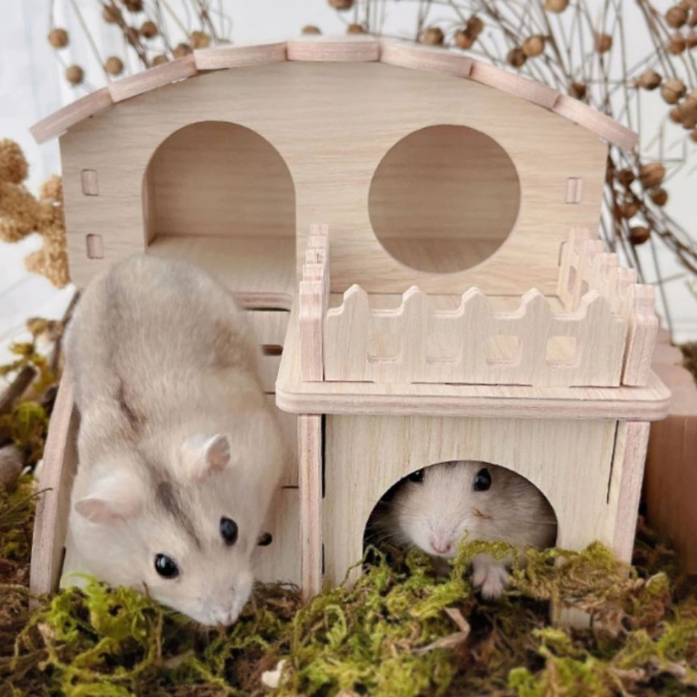 ประกายไฟ หนูแฮมสเตอร์ไม้เนื้อแข็งบ้านขนาดเล็ก,กระดานหกหนูแฮมสเตอร์แบบถอดได้ บันไดรังหนูแฮมสเตอร์, รังนอนหนูแฮมสเตอร์ ทําเอง สัตว์เลี้ยงขนาดเล็กวิลล่าสัตว์เ