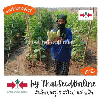 ตราศรแดง GGEW เมล็ดพันธุ์ แตงร้านสีขาวสโนวี่ 40 เมล็ด ตราศรแดง
