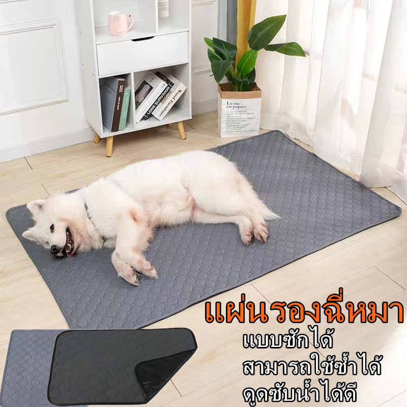 แผ่นรองฉี่สุนัข แผ่นรองฉี่สัตว์เลี้ยง ผ้ารองฉี่หมา เเมว กระต่าย ซักใช้ซ้ำได้ ซึมซับได้ดี มีกันลื่น