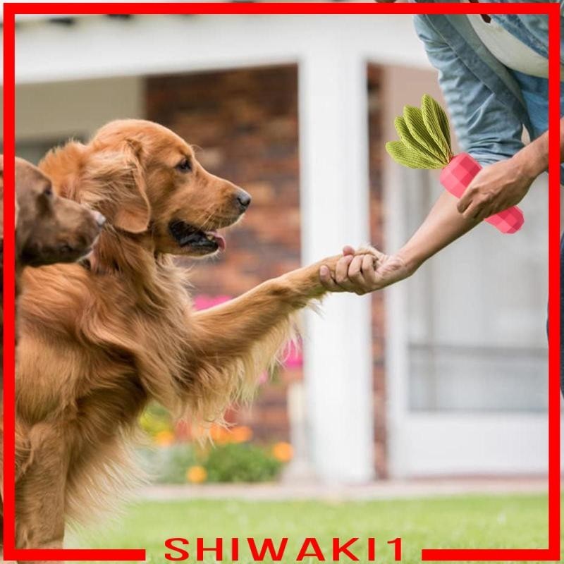 [Shiwaki1] ของเล่นยาง ออกกําลังกาย สําหรับฝึกสุนัข