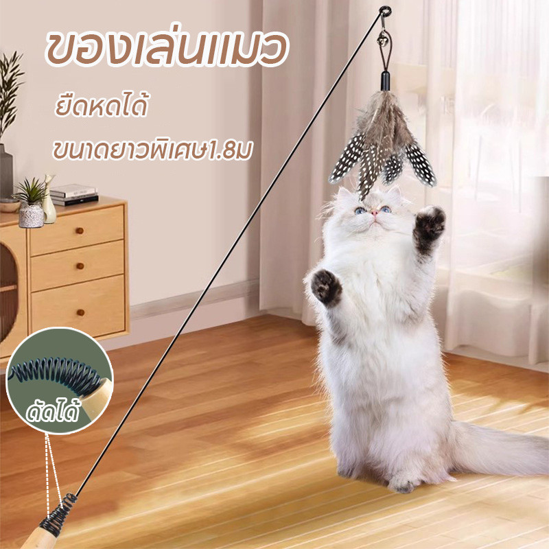 😻ของเล่นเเมว ไม้ล่อแมว ของเล่นขนนกแมวพร้อมก้านยาว แท่งทีเซอร์แมวตลกสำหรับเกาออกกำลังกาย ขนาดยาวพิเศษ1.8ม ยืดหดได้