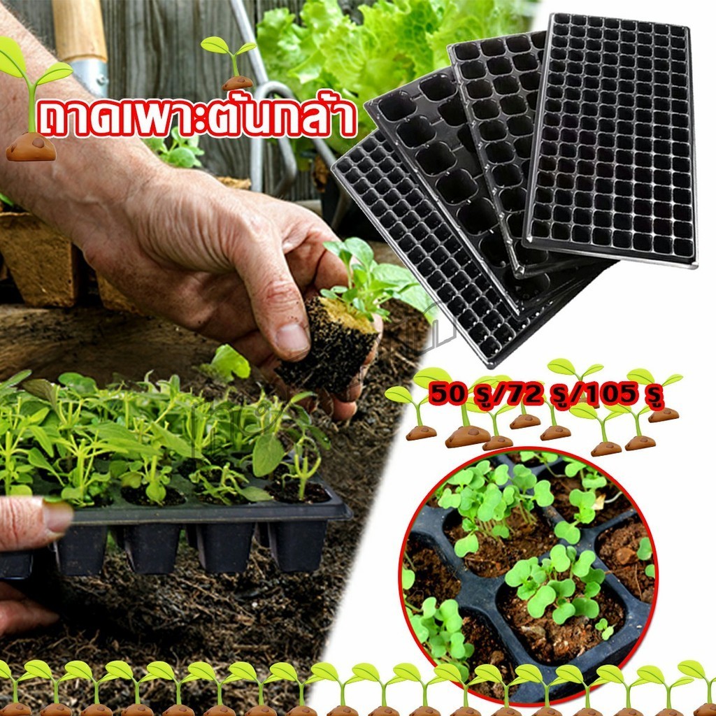 HD ถาดเพาะต้นกล้า  ถาดเพาะชำ ถาดเพาะเมล็ด ใช้ซ้ำได้ Seedling Tray