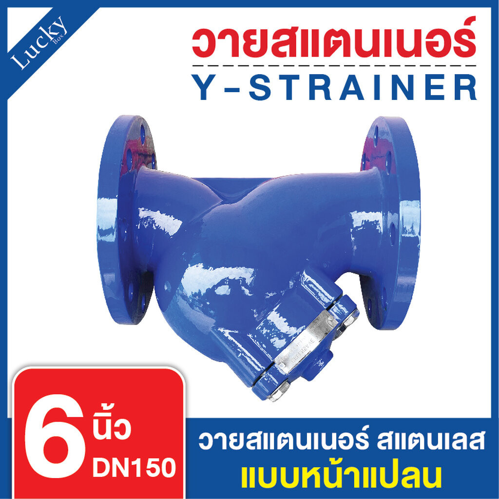 Y Strainer วายสแตนเนอร์ เหล็กหล่อ ขนาด 6 นิ้ว แบบหน้าแปลน