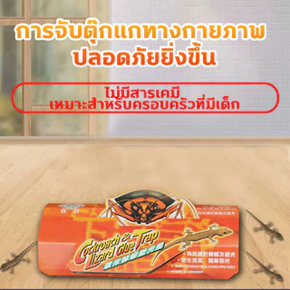 30แผ่น ติดตุ๊กแกได้ง่าย กําจัดจิ้งจก ดักจิ้งจก บ้านจิ้งจก การจับตุ๊กแกทางกายภาพ ปลอดภัยยิ่งขึ้น ไม่มีสารเคมี ไร้กังวล กา