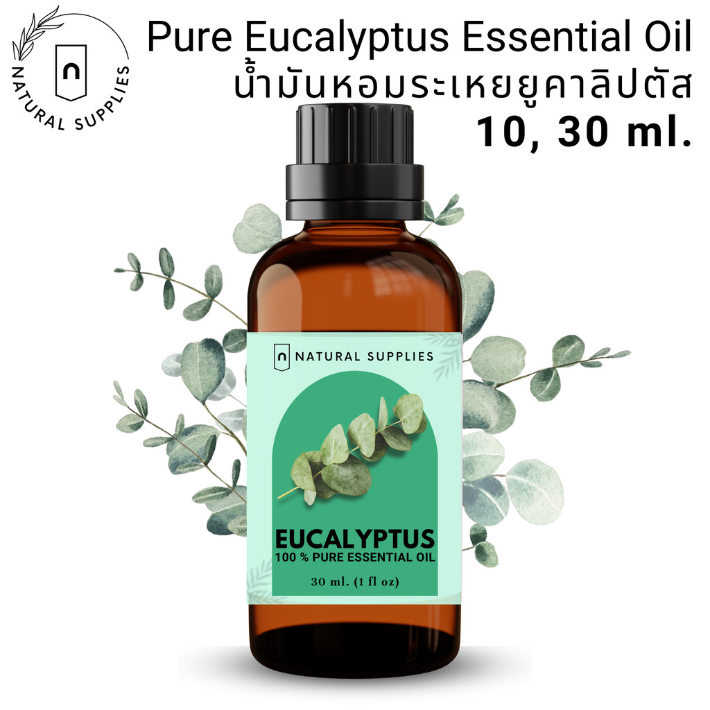 Pure Eucalyptus Essential oil น้ำมันหอมระเหย ยูคาลิปตัส บริสุทธิ์ ขนาด 10, 30 ml. by Natural Supplies