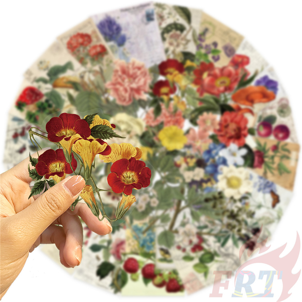 ❉ สติ๊กเกอร์ PET ศิลปะดอกไม้ย้อนยุค ❉ 50 ชิ้น/เซ็ต DIY แฟชั่นสติ๊กเกอร์กันน้ํา Doodle สติ๊กเกอร์ - รูปที่ 4
