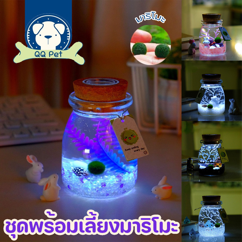 💙พร้อมส่ง✅ชุดพร้อมเลี้ยงมาริโมะ เซ็ตมาริโมะโหลกลม ฟรีชุดบำรุง มอสบอล
