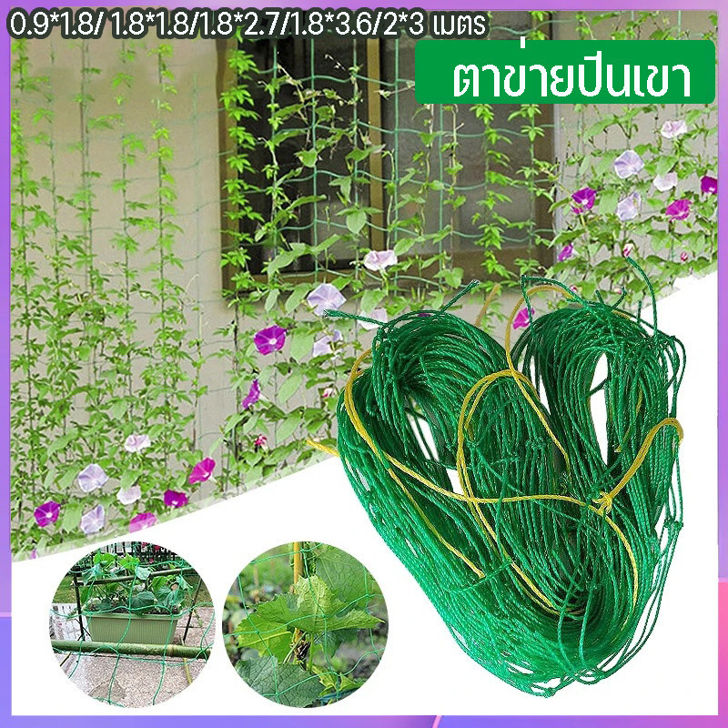COD ตาข่ายปลูกพืชผัก อวนปลูกผัก ค้างแตง ไม้เลื้อย คุณภาพดี เน็ตตาข่ายสี่มุม ตาข่ายสำหรับพืชไม้เลื้อย