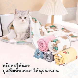 INPET ผ้าห่มกำมะหยี่ L/XL ผ้าห่มสัตว์เลี้ยง ผ้ารองนอน สุนัข แมว ที่นอนสุนัข ที่นอนแมว (คละสี)