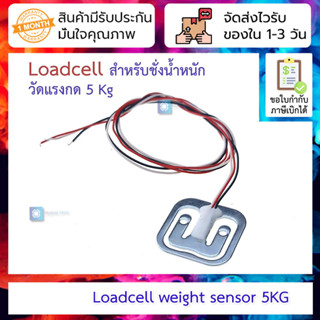 Sensor Body Scale 5kg Load Cell