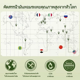 💯💯น้ำมันหอมระเหยสำหรับเครื่องฟอกอากาศ 260ML สำหรับเตาอโรม่า เทียนหอม น้ำหอมปรับอากาศ สเปรย์น้ําหอมปรับอากาศอัตโนมัติ