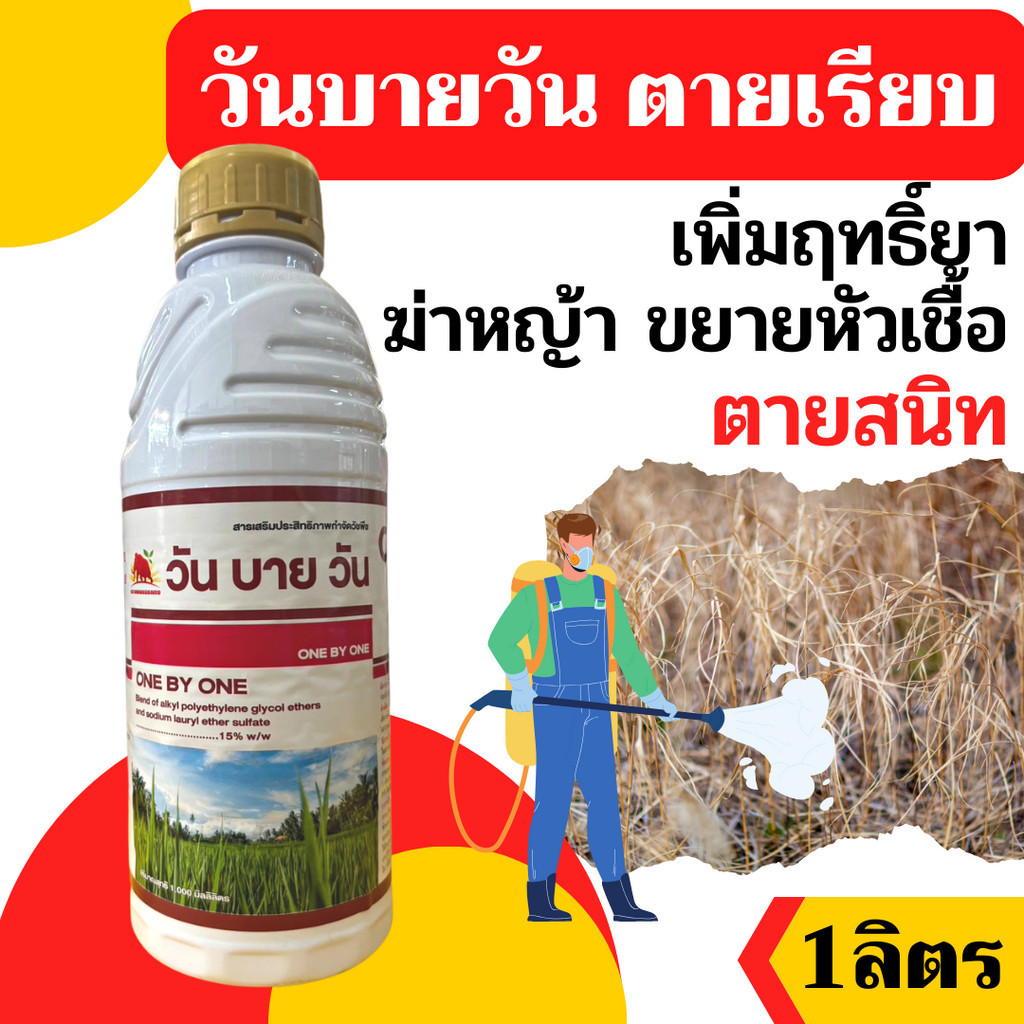 [1 ลิตร]วันบายวัน สารเสริมยาฆ่าหญ้า ตายเรียบ ให้หญ้าตายเร็วขึ้น ตายนานขึ้น ไม่เป็นอันตรายต่อพืชหลักผสมคู่กับยาฆ่าหญ้า