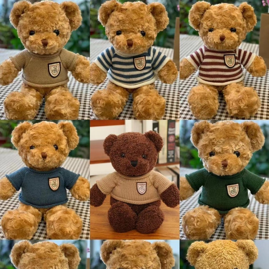 Sweater Teddy Bear Doll Little Bear Doll Ragdoll Birthday Gift Teddy Bear Plush Toy Doll