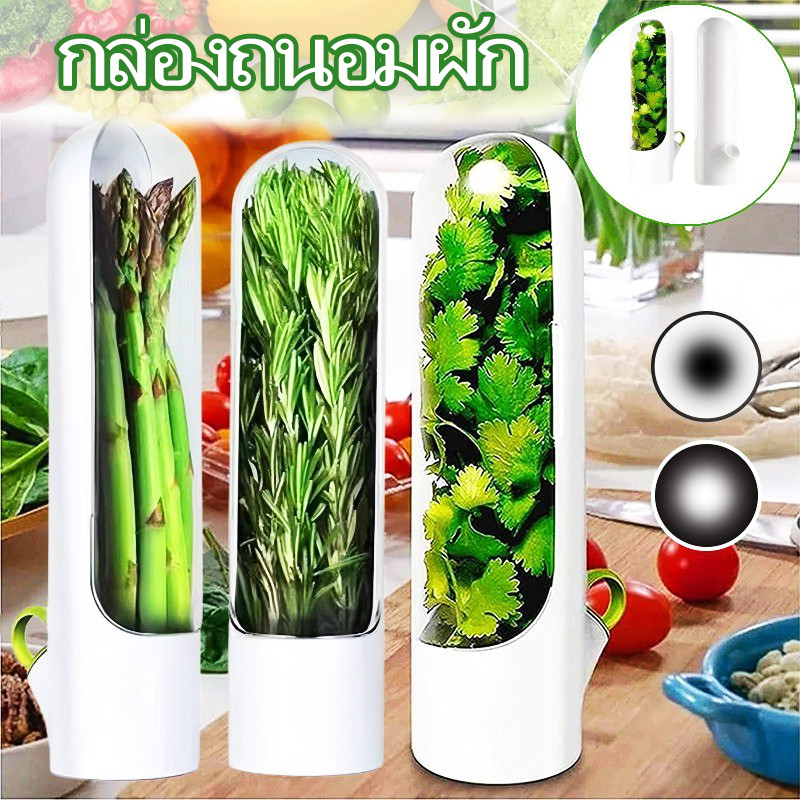 กล่องถนอมผัก ที่เก็บผัก ถ้วยสมุนไพรสด ประหยัดเนื้อที่ในตู้เย็น ป้องกันแรงดันช่วยถนอมให้ผักสดนานกว่าเดิม คุณภาพสูง 100%