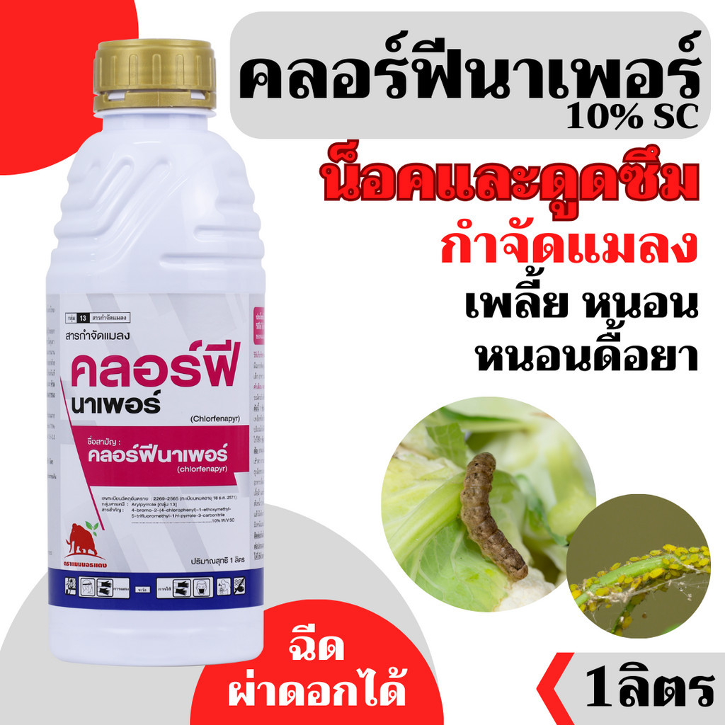 [แมมมอธ] คลอฟีนาเพอร์ สูตรเย็น 1 ลิตร สูตรพิเศษ ฝาทอง ตายดีขึ้น