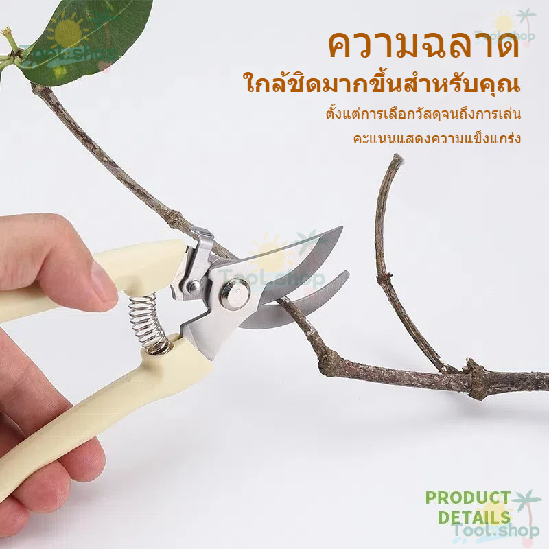 Tool กรรไกรตัดกิ่งไม้ กรรไกรทำสวน กรรไกรแต่งกิ่งปากโค้ง แบบสเตนเลส