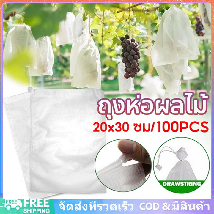100 ใบถุงห่อผลไม้ ขนาด 20x30 ซม ถุงห่อฝรั่ง ใช้ห่อกันแมลง เพลี้ย ใช้ซ้ำได้ ไม่มีไอน้ำเกาะในถุง