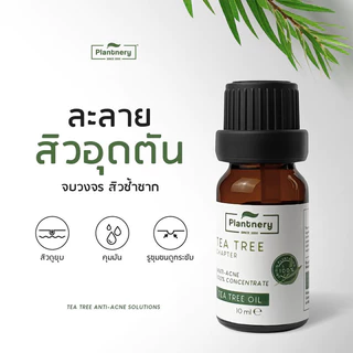 Plantnery Tea Tree Oil Concentrate 10ml แพลนท์เนอรี่ น้ำมันที ทรีเข้มข้น สำหรับแต้มสิว.