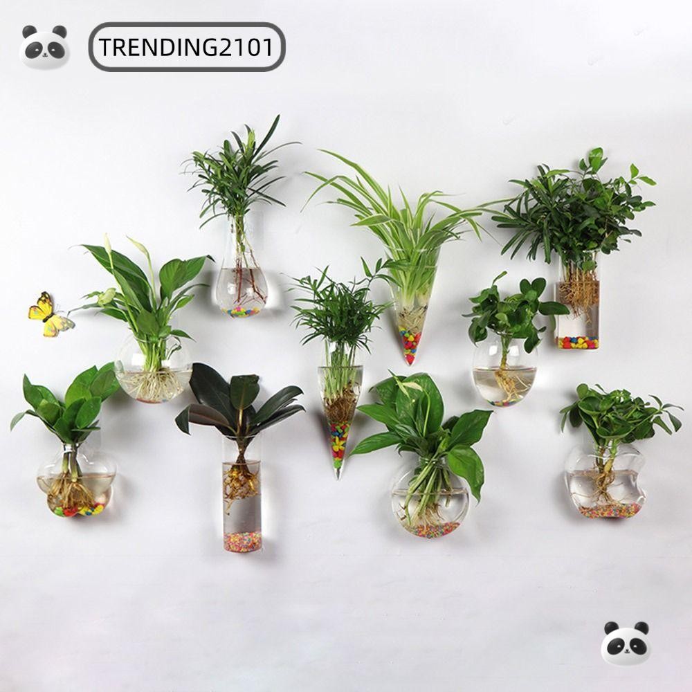 กําลังได้รับความนิยม2101แขวนผนังแจกัน,รูปกรวยตู้ปลาผนังปลูกต้นไม้,มินิมอลพืชไฮโดรโพนิโปร่งใสพิพิธภัณฑ์สัตว์น้ําภาชนะแก้วกระถางต้นไม้สําหรับตกแต่งบ้านสํา
