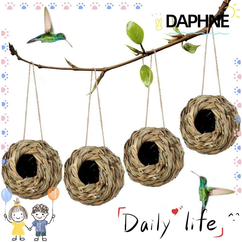 Daphne รังนกธรรมชาติ ทรงกลม สําหรับนกฮัมมิ่งเบิร์ด