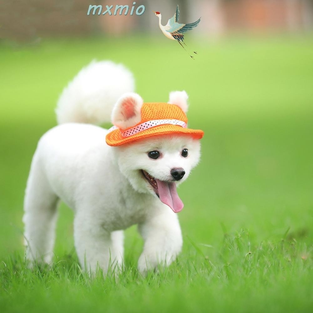Mxmio หมวกแก๊ปแฟชั่น ปรับขนาดได้ พร้อมรูหู สําหรับเดินป่า สุนัข แมว