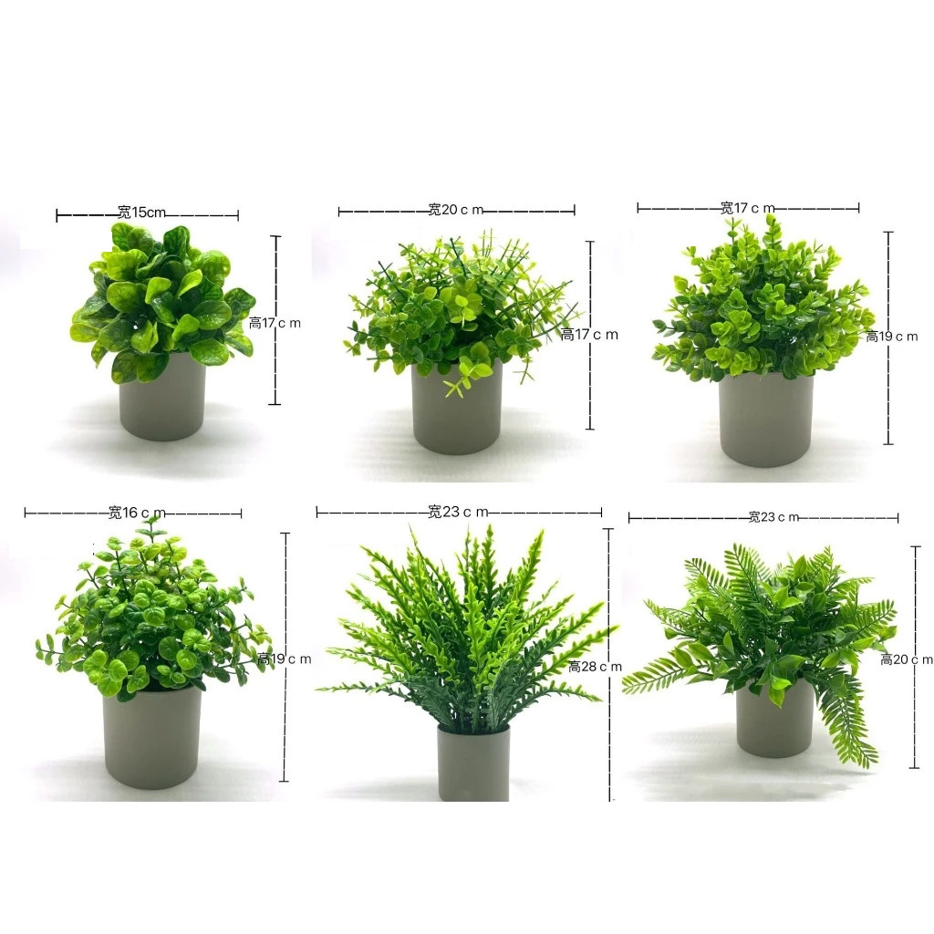 รูปภาพ 2