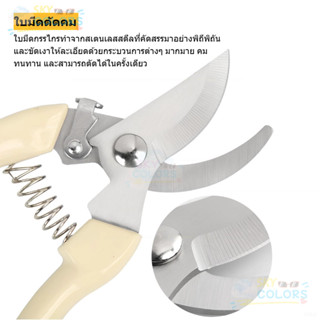กรรไกรตัดกิ่งไม้สแตนเลสด้ามขาว กรรไกรทำสวน กรรไกรสแตนเลส