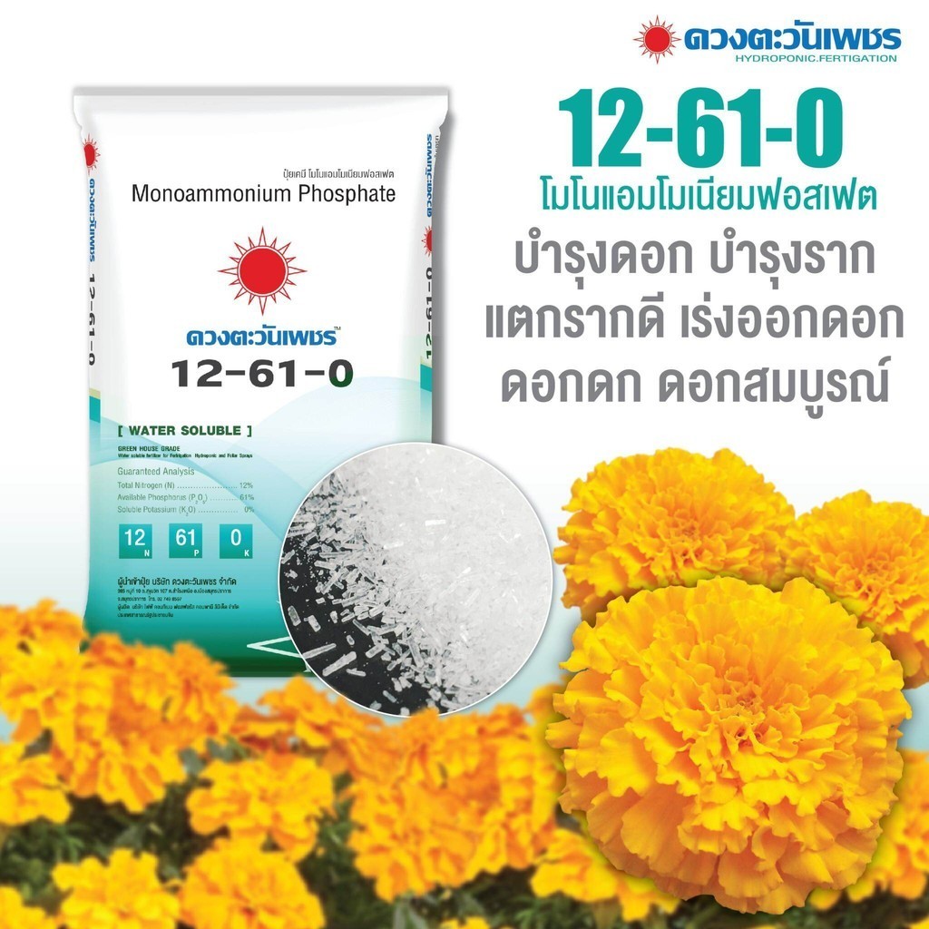 แม่ปุ๋ย 12-61-0 โมโนแอมโมเนียมฟอสเฟต ยอดแข็งแรง ช่วยในการติดดอก เพิ่มขนาดดอกให้ใหญ่ ปุ๋ยเกล็ด ปุ๋ยทา
