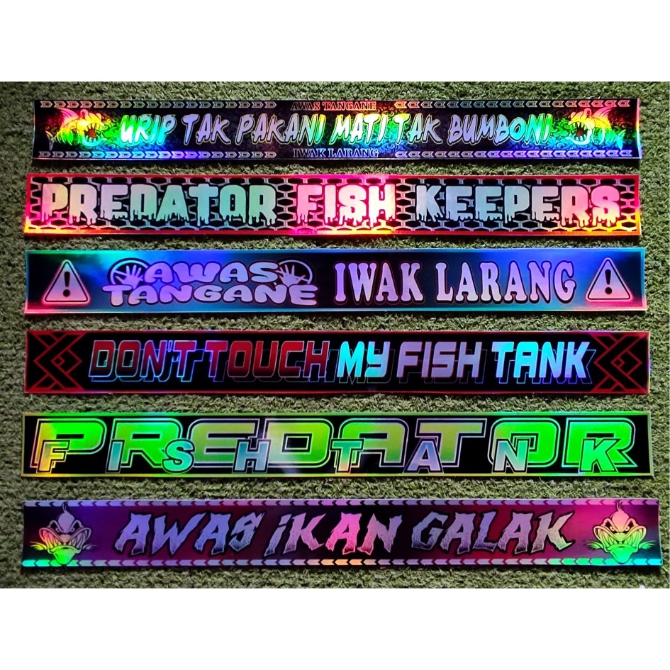 HOLOGRAM GALAK FISH AQUARIUM STICKER / CHANNA FISH