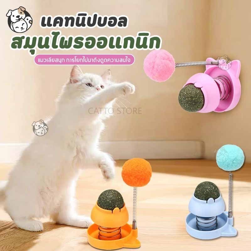ลูกบอลแมว ไม้ตกแมว 2in1แคทนิปบอล ติดกำแพง ไม่กลิ้งหาย catnip ball ของเล่นแมว OO