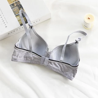 เสื้อชั้นใน #Daisy B111 ชุดชั้นในมีโครง SIZE 32-36 Underwired Cotton ใส่สบาย