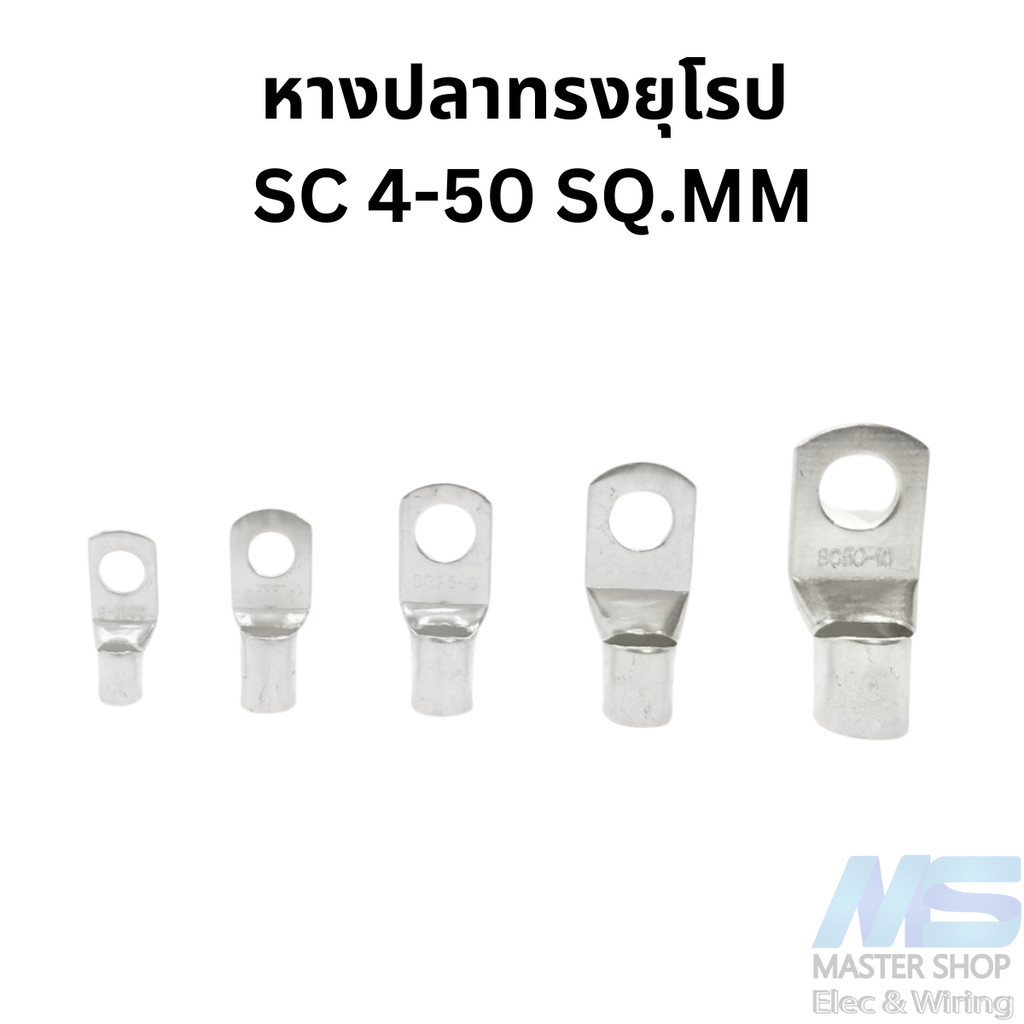 หางปลาทรงยุโรป  SC ขนาด  4-50 SQ.MM