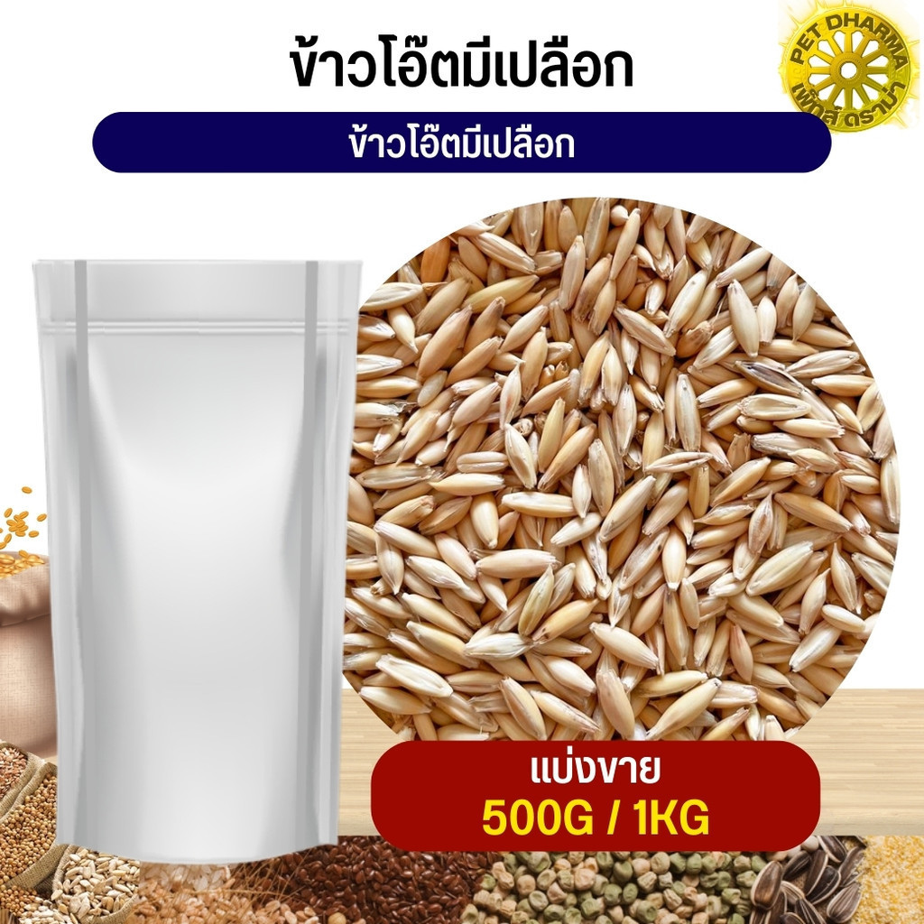 ข้าวโอ๊ตมีเปลือก Oat Rice อาหารนก (แบ่งขาย 500G / 1KG)