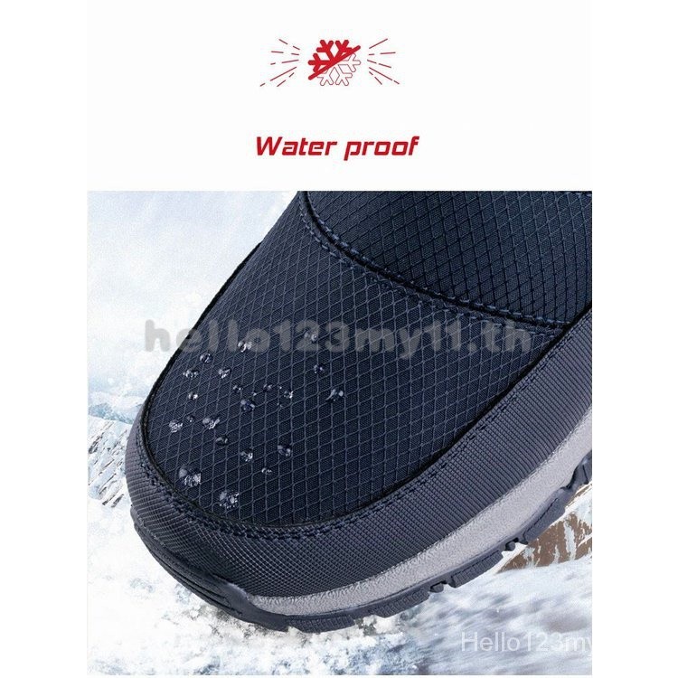 รูปภาพ 8