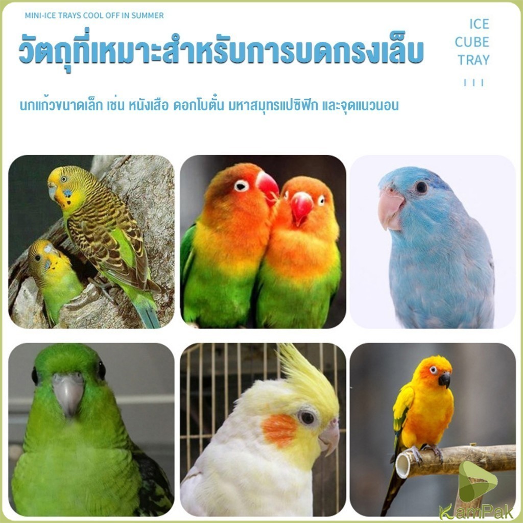 KamPak ก้านไม้ของเล่นสําหรับนกแก้ว คอนลับเล็บ จัดส่งแบบสุ่มหลายสี ราคาต่อ 1 ชิ้น Wooden Bird Perch