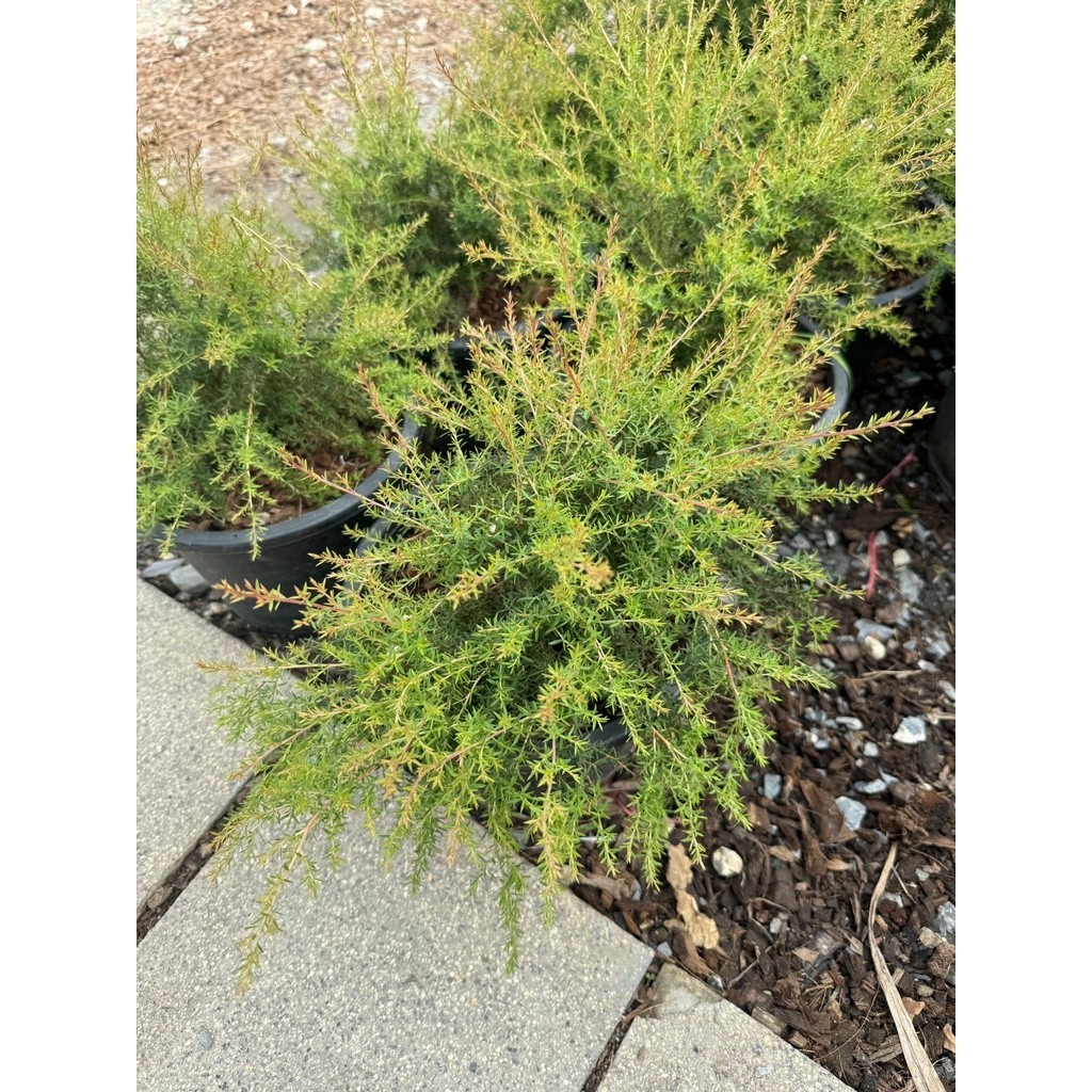 มุมมอง 3