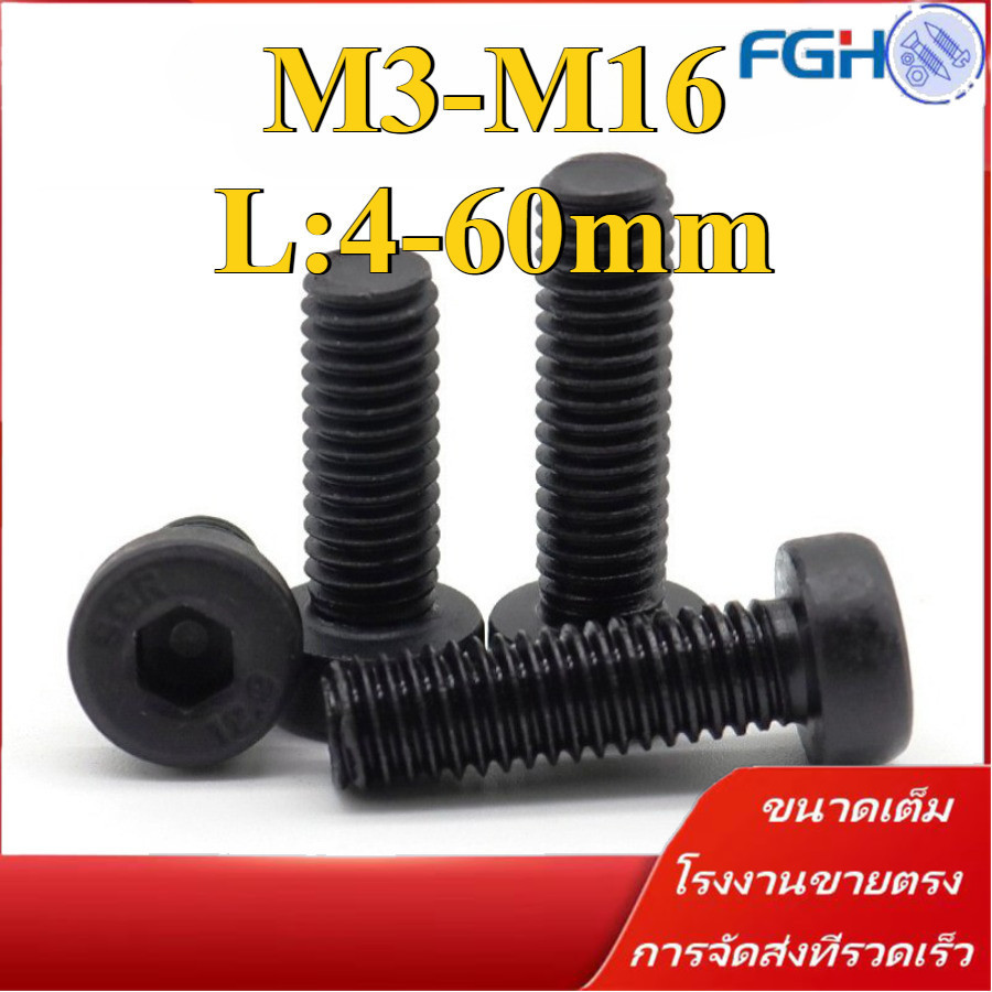 น็อตหัวจมบาง เกรด 12.9 แข็งพิเศษ สกรูชุบแข็งดำ เกลียวมิล ตลอด  สกรู / Hexagon Socket Head Cap Screws