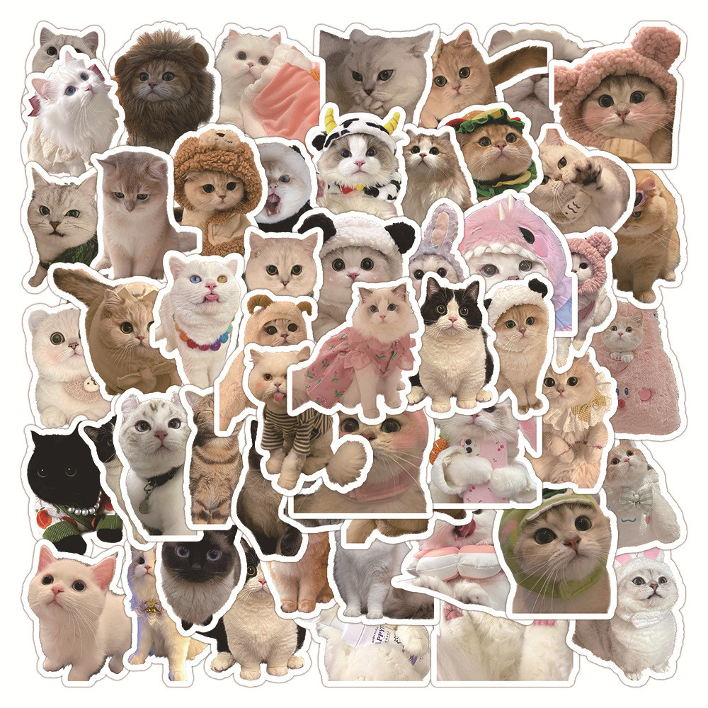💥พร้อมส่ง💥 มีมแมวยอดนิยม CUTE EMOJI KOL CAT INS sticker สติกเกอร์ กันน้ำ 60ชิ้น